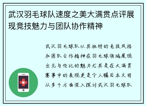 武汉羽毛球队速度之美大满贯点评展现竞技魅力与团队协作精神